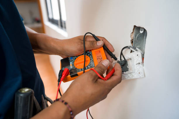 Best Electrical Panel Upgrades  in Berkley, MI